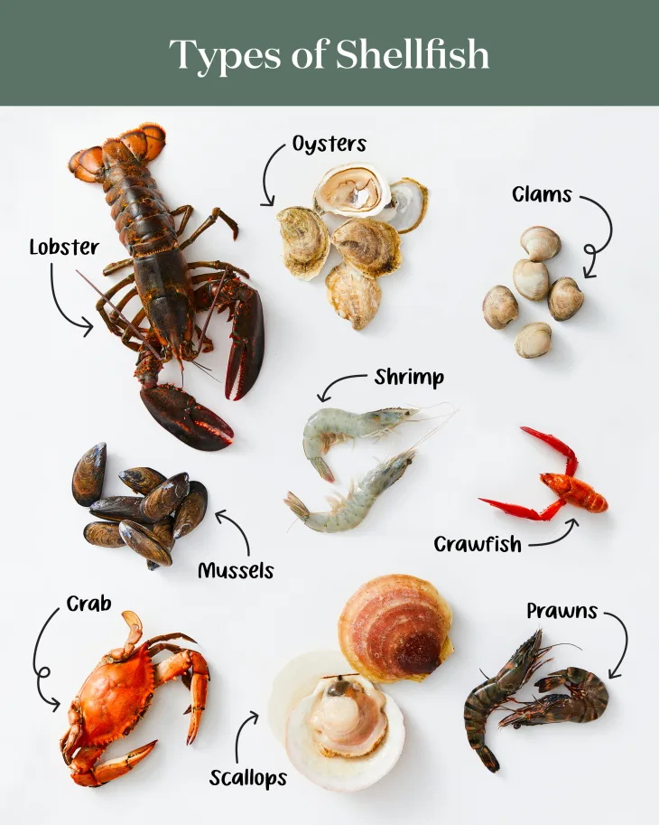 Sea Foods